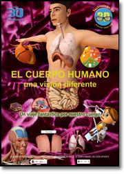 Cuerpo Humano